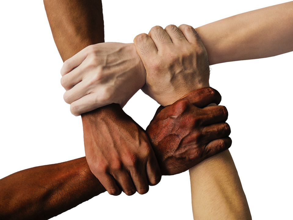découvrez notre communauté dynamique où les membres partagent, échangent et collaborent autour de passions communes. rejoignez-nous pour créer des liens, s'entraider et participer à des événements enrichissants.